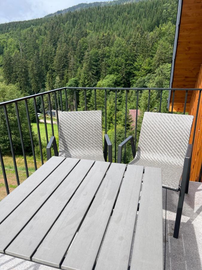 Apartman - Dolni Morava - "Sedmicka" Pro 2 Az 6 Osob Extérieur photo