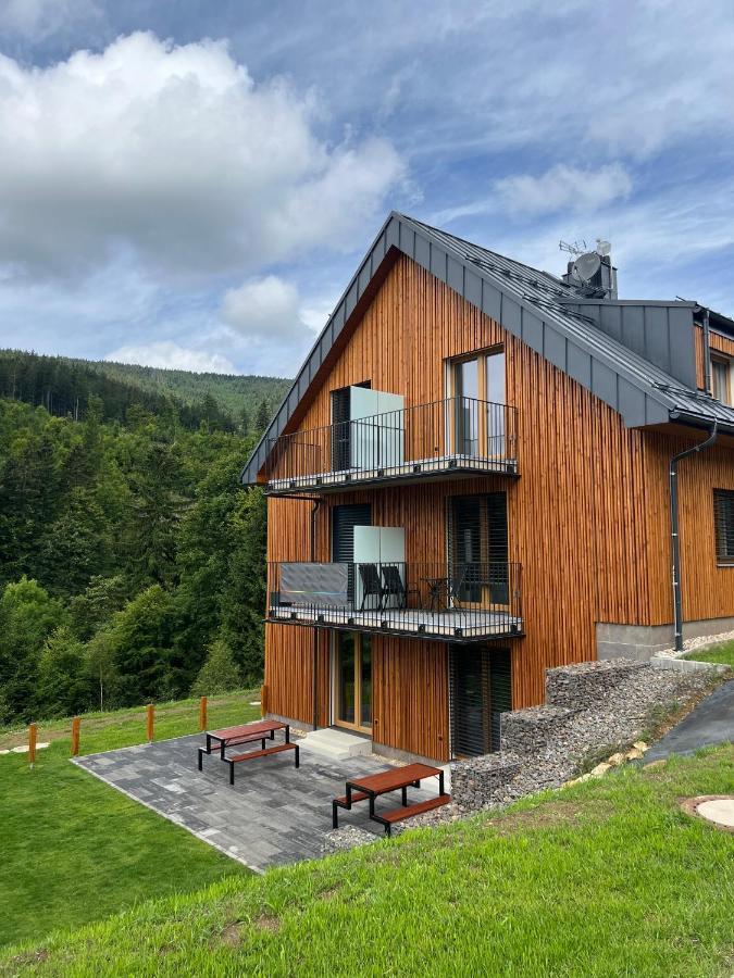 Apartman - Dolni Morava - "Sedmicka" Pro 2 Az 6 Osob Extérieur photo
